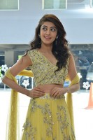 Pranitha at Hello Guru Prema Kosame Movie Success Meet